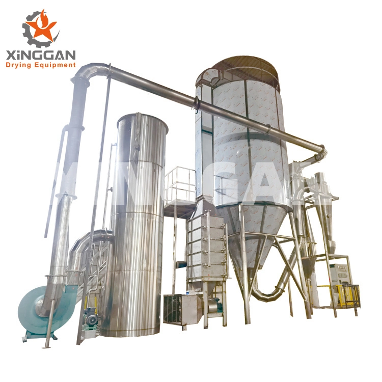 Spray Dryer Vegetable/Fruit Conveyor Belt/Spray/Vacuum/Flash/Paddle/Plate/Tray/Scrape/Rotary Drum/Air Stream/Vibrating/Fluid Bed Drying Equipment for PAC