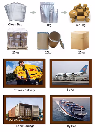 Extrato de lírio de água em pó de aranha vermelha de bulbo de extratos de ervas personalizados de fábrica Wellgreen