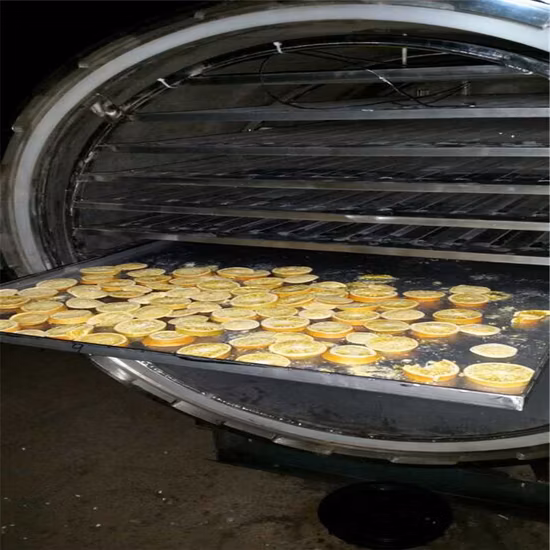 Equipamento de liofilização a vácuo de leite para alimentos para venda